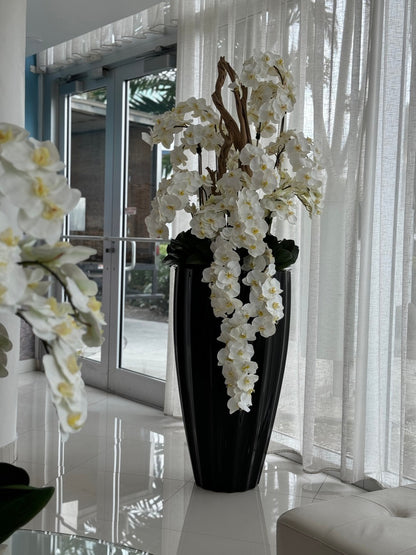 San Jose Planter in Glossy Black with Cascading White Orchids